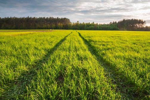 名稱:  field5.jpg
檢視次數: 133
檔案大小:  106.2 KB