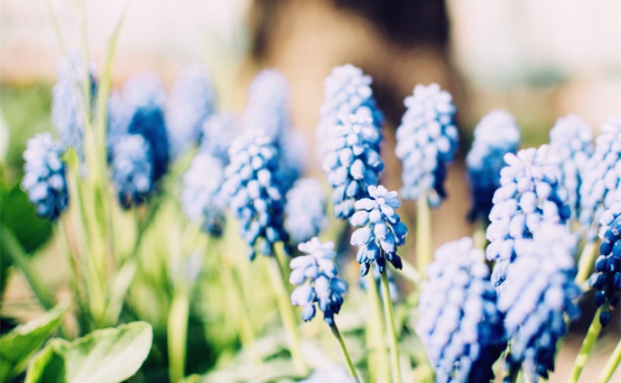 名稱:  www.christiantimes.cn-rodion-kutsaev-16105.jpg
檢視次數: 177
檔案大小:  92.3 KB