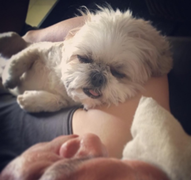 名稱:  56162970_2169956666648691_1207098328276347218_n.jpg
檢視次數: 889
檔案大小:  69.8 KB