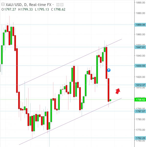 名稱:  gold.jpg
檢視次數: 368
檔案大小:  49.7 KB